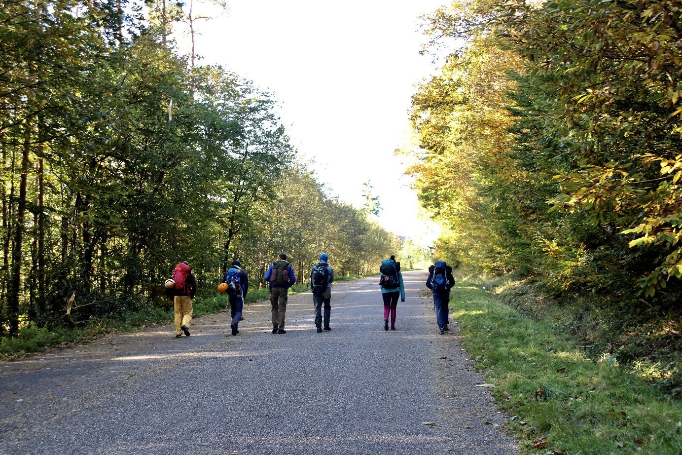 Odoo CMS – ein umfassendes Bild