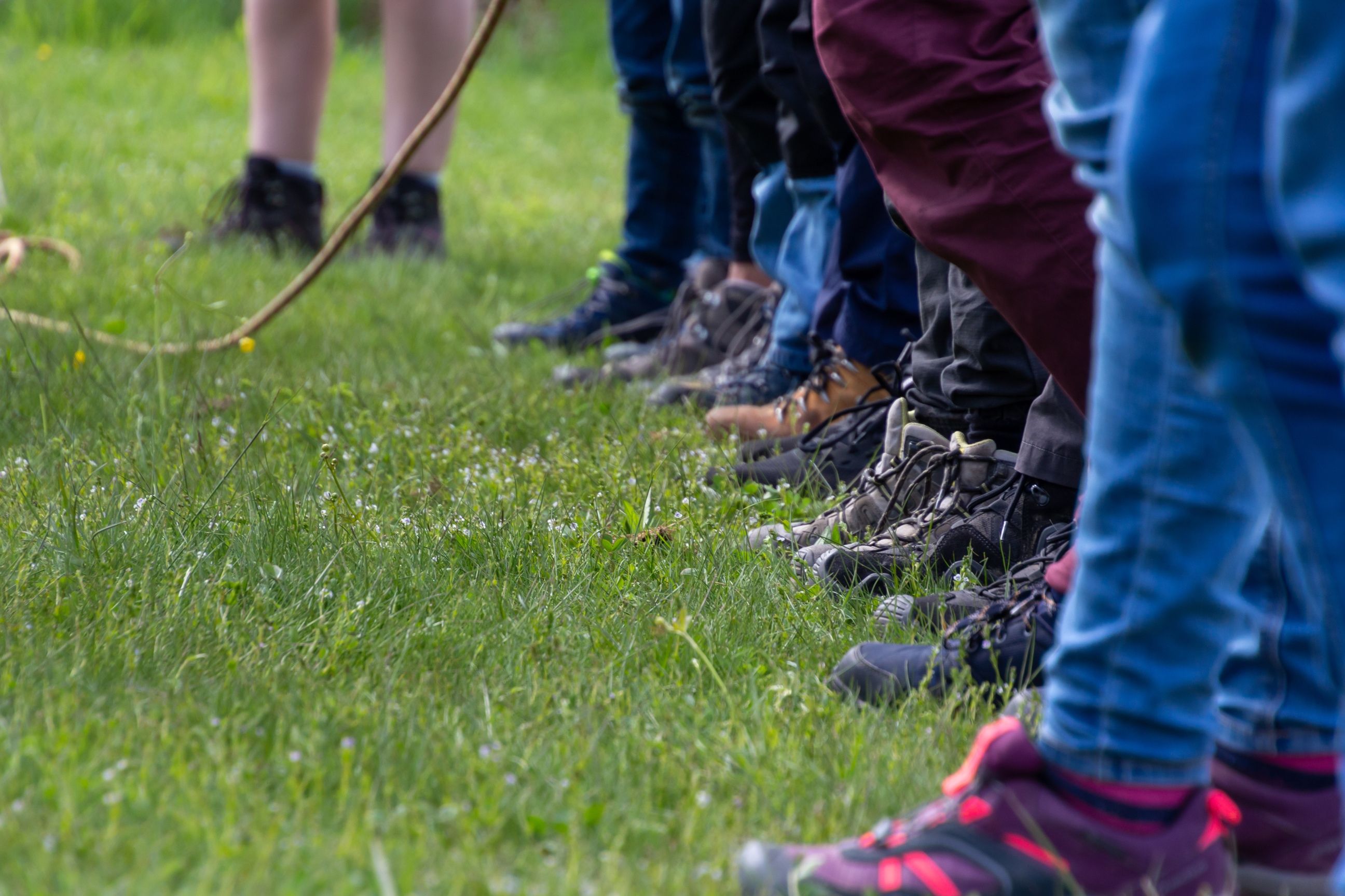 Odoo Bild- und Textblock